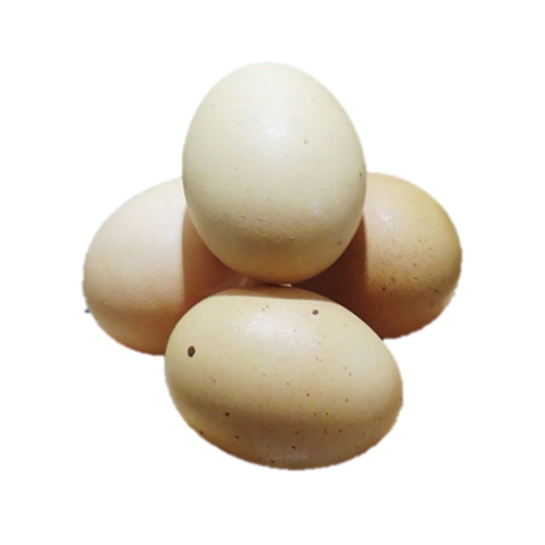 Image 1 for Eggs