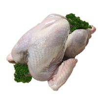Whole Turkey