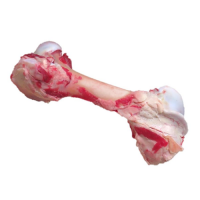 Marrow Bone