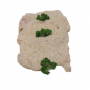 Image for Crumbed Chicken Fillets